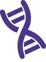 DNA strand DNA strand